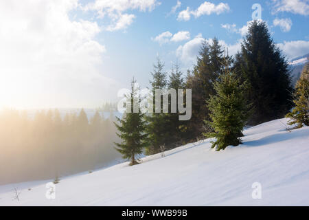 Wald am Morgen Fichte. Herrliche Winterlandschaft bei Nebel. Bäume auf einem schneebedeckten Hang Wiese. flauschige Wolken am blauen Himmel. myster Stockfoto