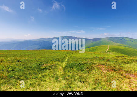 Wunderbare Sommer Bergwelt. schönen grünen sonnigen Landschaft. Weg durch Wiese Wiese auf sanften Hügeln. stoj und velykyy verkh Gipfeln der borzh Stockfoto