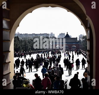 Tempel des Himmels zeremoniellen Weg und viele Touristen, Peking, China Stockfoto