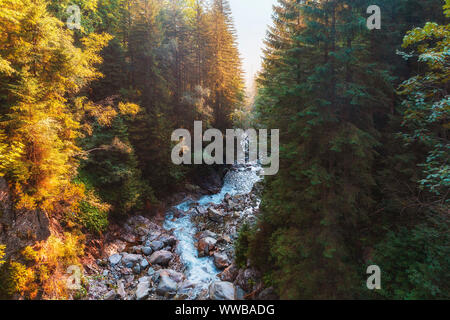 Ein Fluss, der durch einen Nadelwald in den Bergen Stockfoto