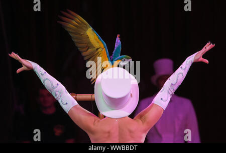 Kiew, Ukraine. 14 Sep, 2019. Nationalcircus der Ukraine präsentiert seine neue Show in Kiew, Ukraine, September 14, 2019 Credit: sergii Kharchenko/ZUMA Draht/Alamy leben Nachrichten Stockfoto