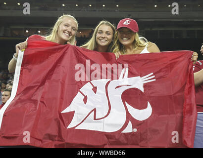 Houston, Texas, USA. 13 Sep, 2019. Die Washington State Cougars Fans während der NCAA Football Spiel zwischen den Houston Cougars und die Washington State Cougars an NRG Stadion in Houston, Texas, am 13. September 2019. Credit: Scott Coleman/ZUMA Draht/Alamy leben Nachrichten Stockfoto