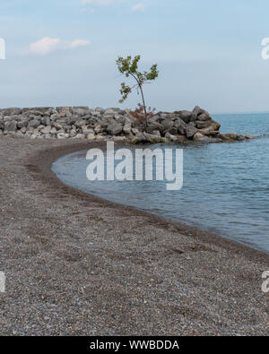 Strand Küste mit Baum vertikal Stockfoto