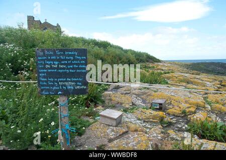 Ein National Trust neben einen Nistkasten für arktische Seeschwalben warnt Besucher während der Brutzeit, vorsichtig zu sein, Northumberland, Großbritannien Stockfoto