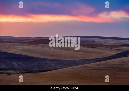 Sunrise Himmel über die sanften Hügel, Hwy 272, zwischen Colfax und Palouse, Washington, USA Stockfoto