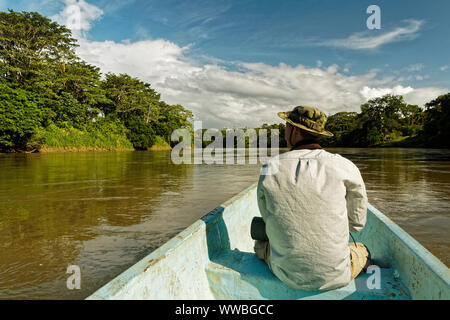 Costa Rica Landschaft von Boca Tapada, Rio San Carlos. Riverside mit Wiesen und Kühen, tropischen bewölkt Wald im Hintergrund. Blick vom Boot aus. Stockfoto