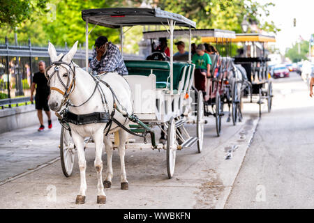 New Orleans, USA - 23. April 2018: Decatur Street von Jackson Square in der historischen Stadt von Louisiana mit Pferdekutsche buggy Tour Guide mit Menschen in Stockfoto