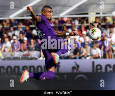 Florenz, Italien. 14 Sep, 2019. Kevin-Prince Boateng von Fiorentina konkurriert in der Serie A Fußball Spiel zwischen Fiorentina und Juventus in Florenz, Italien, Sept. 14, 2019. Credit: Alberto Lingria/Xinhua Quelle: Xinhua/Alamy leben Nachrichten Stockfoto