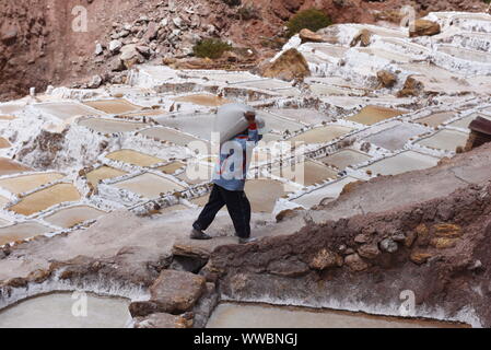 Maras, Peru. 14 Sep, 2019. Ein Arbeitnehmer gesehen schleppen Salz bei Salineras de Maras. Der Salineras de Maras an den Hängen des QaqawiÃ ± ay Berg liegt auf einer Höhe von 3.380 m im urumbamba Tal, in der Nähe der Stadt von Maras. Es ist mit mehr als 3 Tausend natürlichen Salz Brunnen gemacht. Jedem der Brunnen hat eine Größe von 5 Quadratmetern. Die 3.000 Pools sind durch einen unterirdischen hypersaline Feder, die rund 110 Millionen Jahren bei der Entstehung der Anden entstanden zugeführt. Die meisten der Dorfbewohner von Maras Arbeit hier. Quelle: John milner/SOPA Images/ZUMA Draht/Alamy leben Nachrichten Stockfoto