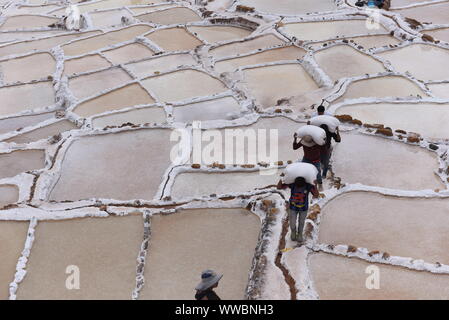 Maras, Peru. 14 Sep, 2019. Arbeitnehmer werden gesehen, schleppen Salz bei Salineras de Maras. Der Salineras de Maras an den Hängen des QaqawiÃ ± ay Berg liegt auf einer Höhe von 3.380 m im urumbamba Tal, in der Nähe der Stadt von Maras. Es ist mit mehr als 3 Tausend natürlichen Salz Brunnen gemacht. Jedem der Brunnen hat eine Größe von 5 Quadratmetern. Die 3.000 Pools sind durch einen unterirdischen hypersaline Feder, die rund 110 Millionen Jahren bei der Entstehung der Anden entstanden zugeführt. Die meisten der Dorfbewohner von Maras Arbeit hier. Quelle: John milner/SOPA Images/ZUMA Draht/Alamy leben Nachrichten Stockfoto