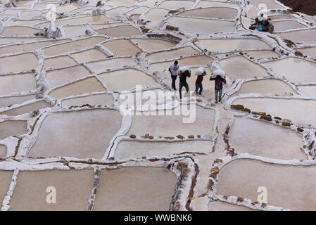 Maras, Peru. 14 Sep, 2019. Arbeitnehmer werden gesehen, schleppen Salz bei Salineras de Maras. Der Salineras de Maras an den Hängen des QaqawiÃ ± ay Berg liegt auf einer Höhe von 3.380 m im urumbamba Tal, in der Nähe der Stadt von Maras. Es ist mit mehr als 3 Tausend natürlichen Salz Brunnen gemacht. Jedem der Brunnen hat eine Größe von 5 Quadratmetern. Die 3.000 Pools sind durch einen unterirdischen hypersaline Feder, die rund 110 Millionen Jahren bei der Entstehung der Anden entstanden zugeführt. Die meisten der Dorfbewohner von Maras Arbeit hier. Quelle: John milner/SOPA Images/ZUMA Draht/Alamy leben Nachrichten Stockfoto