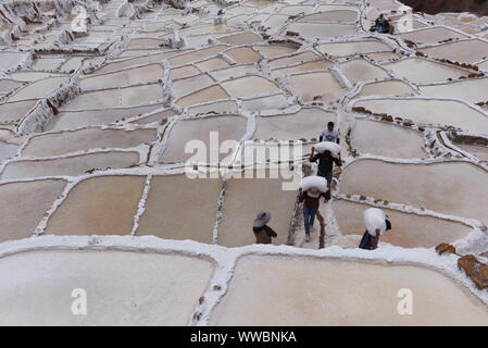 Maras, Peru. 14 Sep, 2019. Arbeitnehmer werden gesehen, schleppen Salz bei Salineras de Maras. Der Salineras de Maras an den Hängen des QaqawiÃ ± ay Berg liegt auf einer Höhe von 3.380 m im urumbamba Tal, in der Nähe der Stadt von Maras. Es ist mit mehr als 3 Tausend natürlichen Salz Brunnen gemacht. Jedem der Brunnen hat eine Größe von 5 Quadratmetern. Die 3.000 Pools sind durch einen unterirdischen hypersaline Feder, die rund 110 Millionen Jahren bei der Entstehung der Anden entstanden zugeführt. Die meisten der Dorfbewohner von Maras Arbeit hier. Quelle: John milner/SOPA Images/ZUMA Draht/Alamy leben Nachrichten Stockfoto