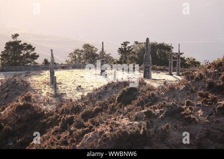 Maori Statuen auf dem Mount Hikurangi, Neuseeland, Nordinsel, Maori Schnitzereien, Sonnenuntergang Stockfoto