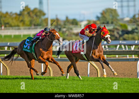 Toronto, Ontario, USA. 14 Sep, 2019. TORONT, Kanada - 14.SEPTEMBER: El Tormenta #1, geritten von Eurico da Silva, gewinnt das Woodbine Mile an Woodbine Race Track am 14. September 2019 in Toronto, Ontario, Kanada. Kaz Ishida/Eclipse Sportswire/CSM/Alamy leben Nachrichten Stockfoto