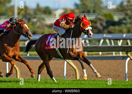 Toronto, Ontario, USA. 14 Sep, 2019. TORONT, Kanada - 14.SEPTEMBER: El Tormenta #1, geritten von Eurico da Silva, gewinnt das Woodbine Mile an Woodbine Race Track am 14. September 2019 in Toronto, Ontario, Kanada. Kaz Ishida/Eclipse Sportswire/CSM/Alamy leben Nachrichten Stockfoto