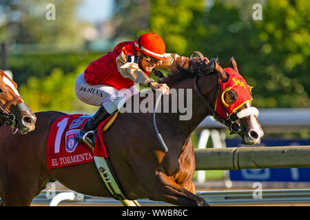 Toronto, Ontario, USA. 14 Sep, 2019. TORONT, Kanada - 14.SEPTEMBER: El Tormenta #1, geritten von Eurico da Silva, gewinnt das Woodbine Mile an Woodbine Race Track am 14. September 2019 in Toronto, Ontario, Kanada. Kaz Ishida/Eclipse Sportswire/CSM/Alamy leben Nachrichten Stockfoto