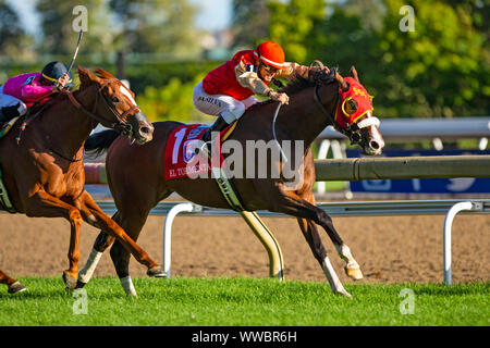 Toronto, Ontario, USA. 14 Sep, 2019. TORONT, Kanada - 14.SEPTEMBER: El Tormenta #1, geritten von Eurico da Silva, gewinnt das Woodbine Mile an Woodbine Race Track am 14. September 2019 in Toronto, Ontario, Kanada. Kaz Ishida/Eclipse Sportswire/CSM/Alamy leben Nachrichten Stockfoto