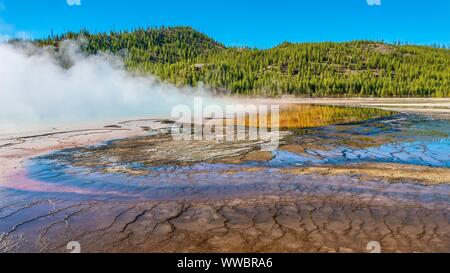 In der Umgebung des Grand Prismatic Spring, so dick Dampf steigt von den berühmten heißen Quellen der Midway Geyser Basin im Yellowstone N.P., USA. Stockfoto