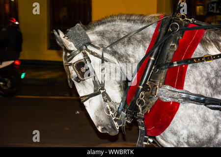 Pferd ziehen ein Auto an der Plaza Mayor Plaza de Armas in Lima, Peru Stockfoto