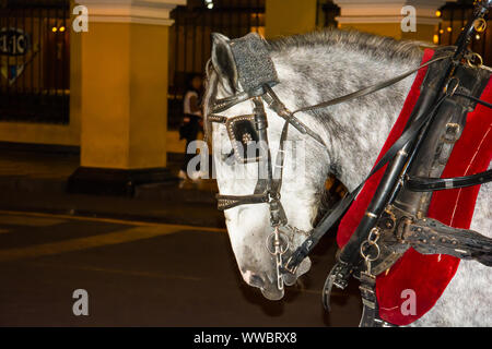 Pferd ziehen ein Auto an der Plaza Mayor Plaza de Armas in Lima, Peru Stockfoto