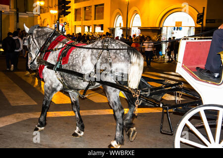 Pferd ziehen ein Auto an der Plaza Mayor Plaza de Armas in Lima, Peru Stockfoto