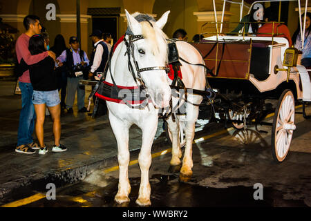 Pferd ziehen ein Auto an der Plaza Mayor Plaza de Armas in Lima, Peru Stockfoto