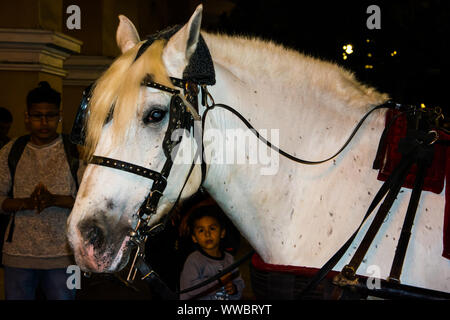 Pferd ziehen ein Auto an der Plaza Mayor Plaza de Armas in Lima, Peru Stockfoto