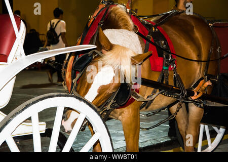 Pferd ziehen ein Auto an der Plaza Mayor Plaza de Armas in Lima, Peru Stockfoto