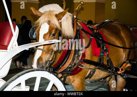 Pferd ziehen ein Auto an der Plaza Mayor Plaza de Armas in Lima, Peru Stockfoto