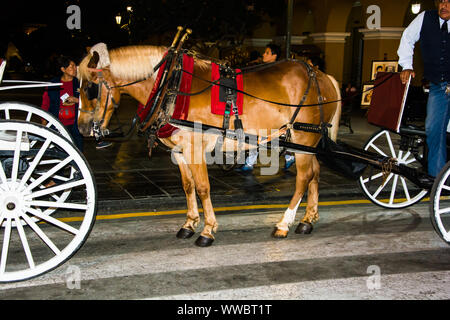 Pferd ziehen ein Auto an der Plaza Mayor Plaza de Armas in Lima, Peru Stockfoto