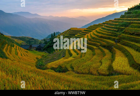 Sonnenuntergang in den Reisterrassen von Ping ein Dorf, Longheng County, Guangxi Province, China. Stockfoto