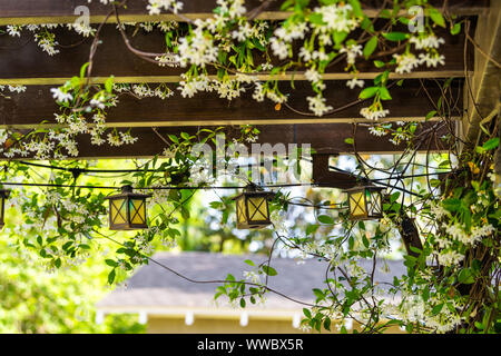 Terrasse im Freien Feder weiß blühender Garten im Hinterhof Halle home mit Lampen Glühlampen auf pergola Vordach Pavillon aus Holz Stockfoto