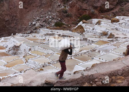 Ein Arbeitnehmer gesehen schleppen Salz bei Salineras de Maras. Der Salineras de Maras an den Hängen des Qaqawiñay Berg liegt auf einer Höhe von 3.380 m im urumbamba Tal, in der Nähe der Stadt von Maras. Es ist mit mehr als 3 Tausend natürlichen Salz Brunnen gemacht. Jedem der Brunnen hat eine Größe von 5 Quadratmetern. Die 3.000 Pools sind durch einen unterirdischen hypersaline Feder, die rund 110 Millionen Jahren bei der Entstehung der Anden entstanden zugeführt. Die meisten der Dorfbewohner von Maras Arbeit hier. Stockfoto