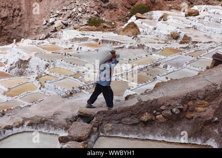 Ein Arbeitnehmer gesehen schleppen Salz bei Salineras de Maras. Der Salineras de Maras an den Hängen des Qaqawiñay Berg liegt auf einer Höhe von 3.380 m im urumbamba Tal, in der Nähe der Stadt von Maras. Es ist mit mehr als 3 Tausend natürlichen Salz Brunnen gemacht. Jedem der Brunnen hat eine Größe von 5 Quadratmetern. Die 3.000 Pools sind durch einen unterirdischen hypersaline Feder, die rund 110 Millionen Jahren bei der Entstehung der Anden entstanden zugeführt. Die meisten der Dorfbewohner von Maras Arbeit hier. Stockfoto