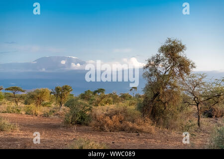 Blick auf den Kilimandjaro Berg in Tansania mit der Savanne, wunderschönes Panorama Stockfoto