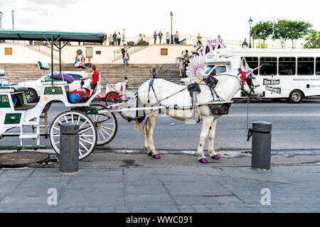 New Orleans, USA - 22. April 2018: Alte Stadt Decatur Street von Jackson Square in Louisiana Stadt mit Pferdekutsche geführte Tour auf Buggy Stockfoto