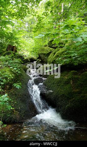 Der Schwarzwald ist eine der schönsten Natur in Deutschland Stockfoto