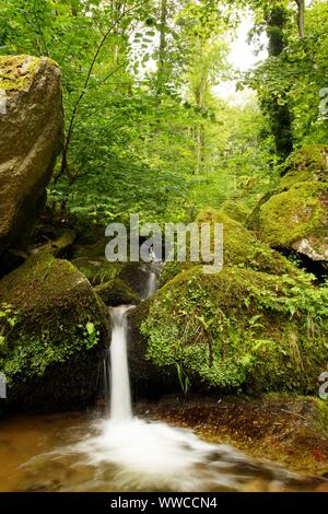 Der Schwarzwald ist eine der schönsten Natur in Deutschland Stockfoto