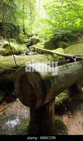 Der Schwarzwald ist eine der schönsten Natur in Deutschland Stockfoto