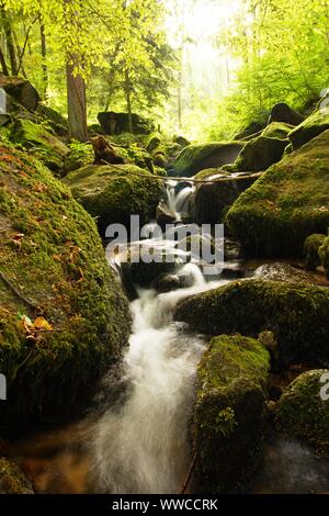 Der Schwarzwald ist eine der schönsten Natur in Deutschland Stockfoto