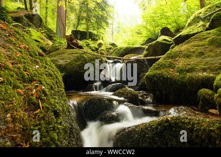 Der Schwarzwald ist eine der schönsten Natur in Deutschland Stockfoto