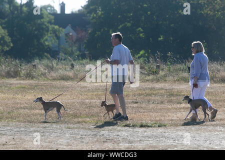 London, Großbritannien. 15. September 2019. Menschen wandern ihre Hunde in der Morgensonne auf Wimbledon Common Credit: Amer ghazzal/Alamy leben Nachrichten Stockfoto