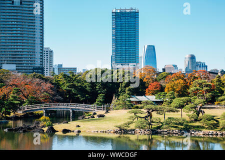 Hamarikyu Gärten und modernen Gebäude am Herbst in Tokio, Japan. Stockfoto