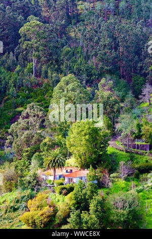 Einen erhöhten Blick auf die hügelige Landschaft der Insel Madeira. Stockfoto