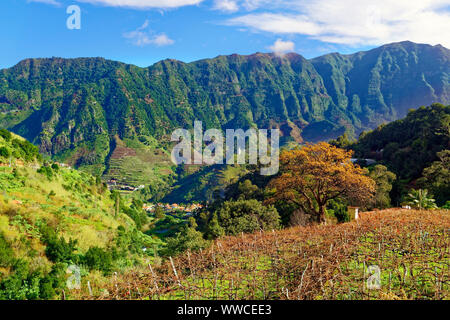 Einen erhöhten Blick auf die hügelige Landschaft der Insel Madeira. Stockfoto