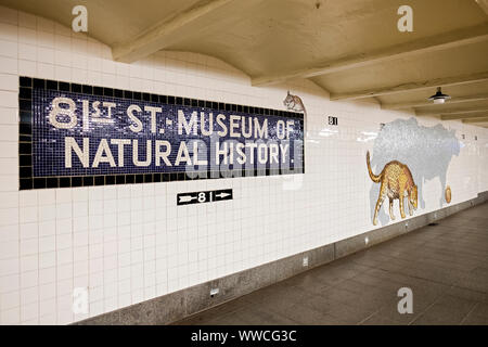 Kunst im öffentlichen Raum auf Anzeige an die 81st St. Museum für Naturkunde Anschlag auf der B&C U-Bahn Linien auf der Upper West Side von Manhattan, New York City. Stockfoto