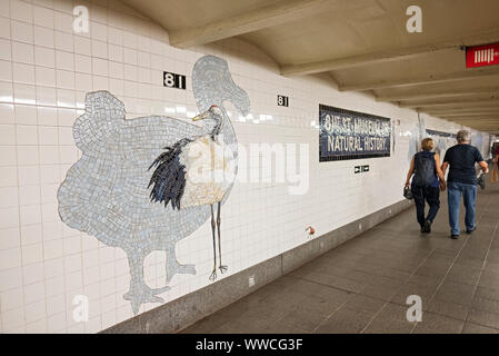 Kunst im öffentlichen Raum auf Anzeige an die 81st St. Museum für Naturkunde Anschlag auf der B&C U-Bahn Linien auf der Upper West Side von Manhattan, New York City. Stockfoto