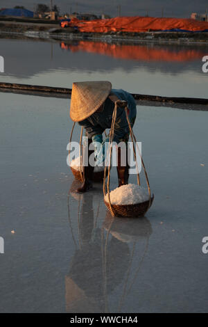 Salz Ernte Phanrang Vietnam Stockfoto