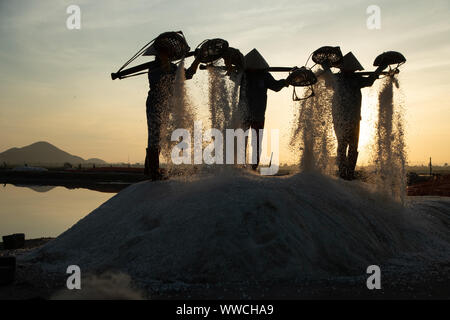 Salz Ernte Phanrang Vietnam Stockfoto