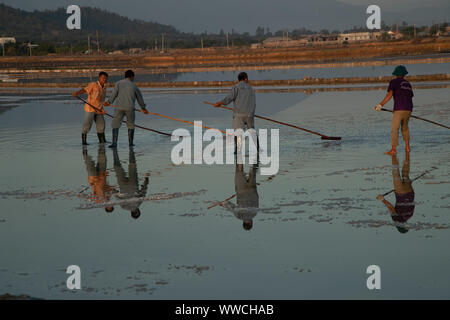 Salz Ernte Phanrang Vietnam Stockfoto